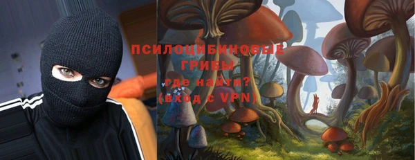 не бодяженный Верхний Тагил