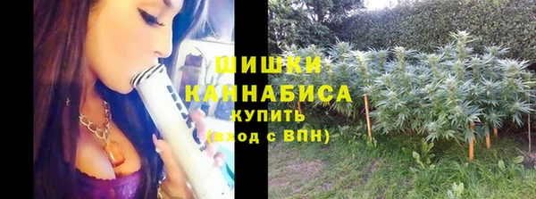 гидропоника Верея