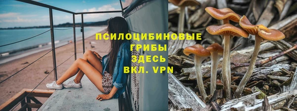 не бодяженный Верхний Тагил