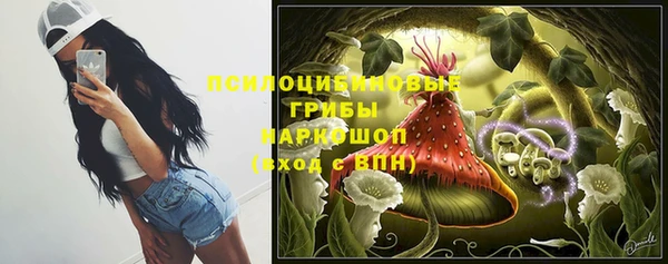 гидропоника Верея
