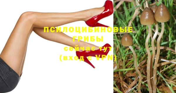 гидропоника Верея