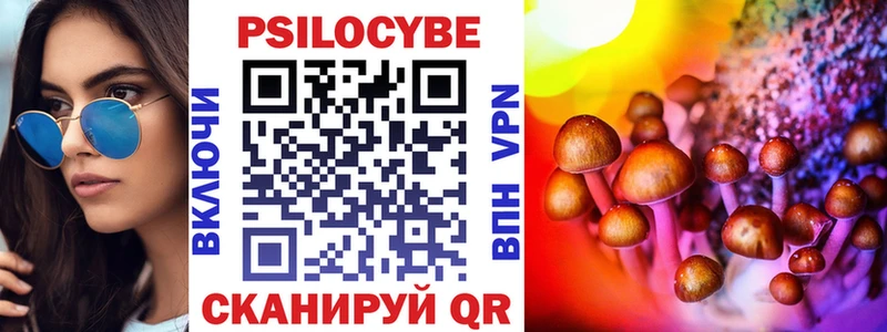 Галлюциногенные грибы Psilocybe  Купить где  Судогда 
